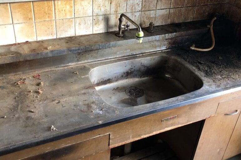 IMG_0987-1000x500